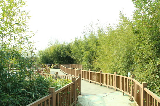 曲橋