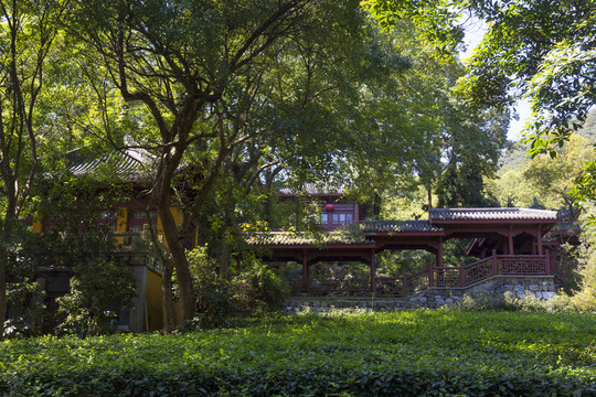 杭州永福寺