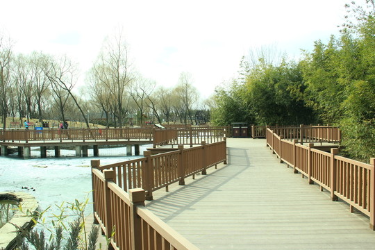 木橋