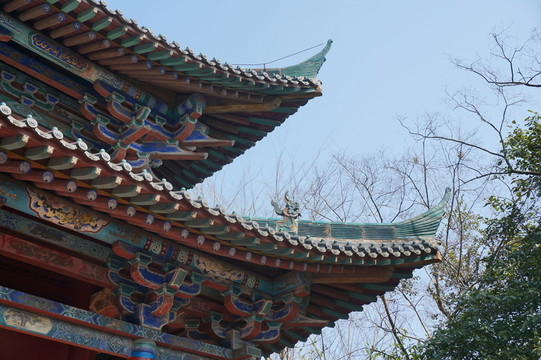 房頂
