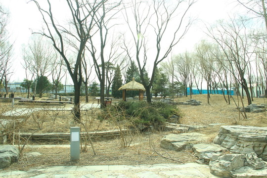 海淀公園