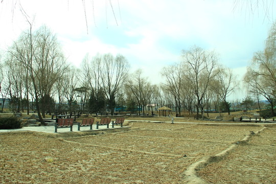海淀公園