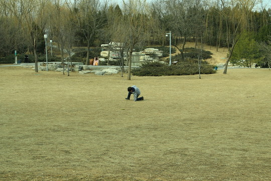 海淀公園