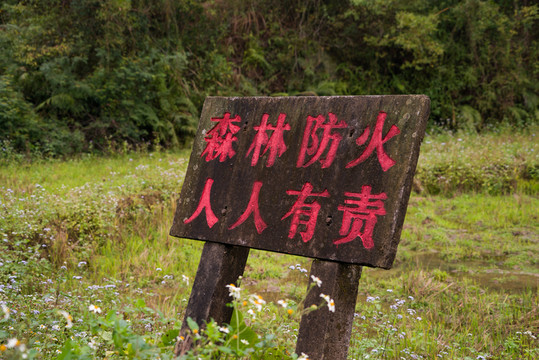 森林防火人人有責(zé)