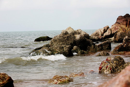 礁石 海邊 魚鱗洲