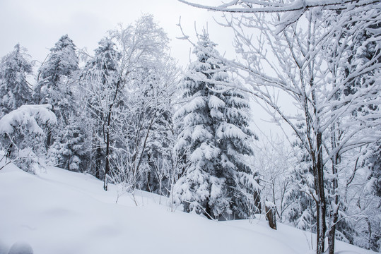 雪鄉(xiāng)霧凇