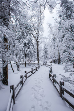 雪鄉(xiāng)雪景