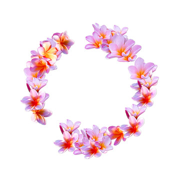 玉蘭花邊框