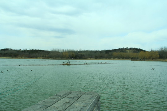 奧林匹克公園湖泊