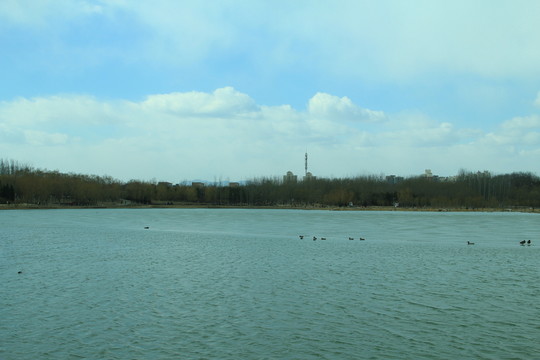 奧林匹克公園湖泊