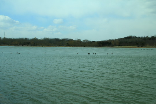 奧林匹克公園湖面