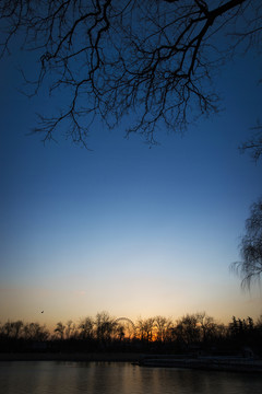 夕陽(yáng)