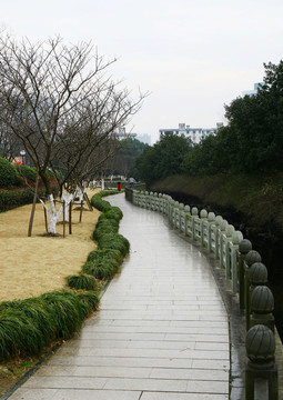 城市 園林 休閑