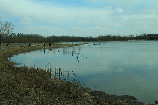 奧林匹克公園湖泊