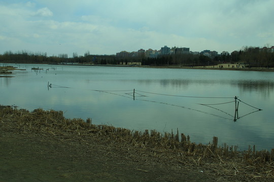 奧林匹克公園湖泊