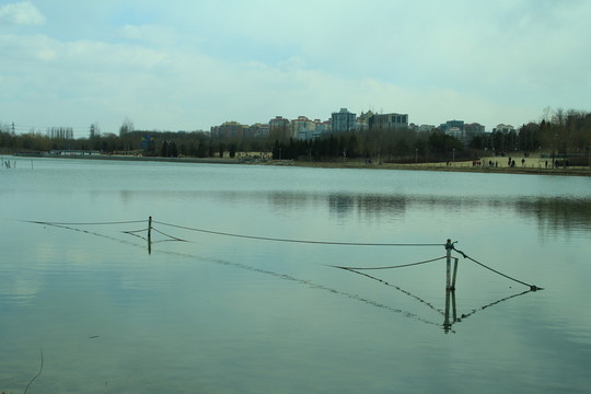 奧林匹克公園湖泊