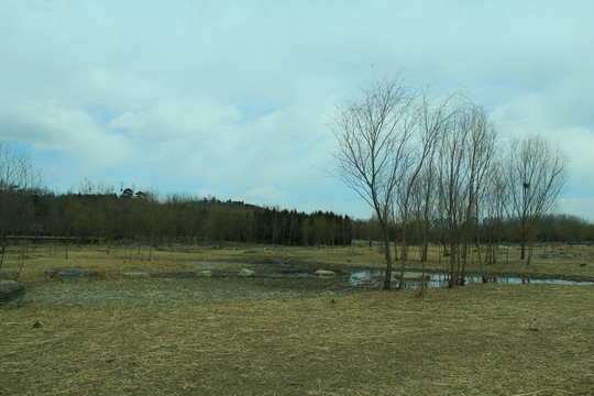 奧林匹克公園
