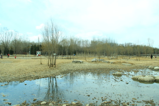 湖水干涸
