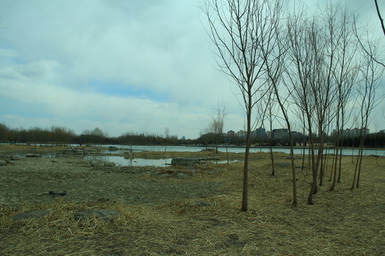 奧林匹克公園