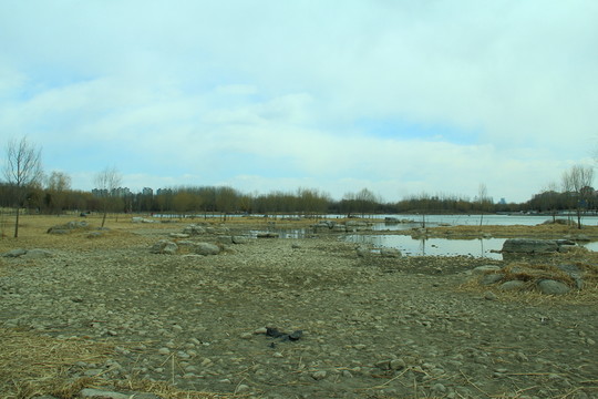 奧林匹克公園