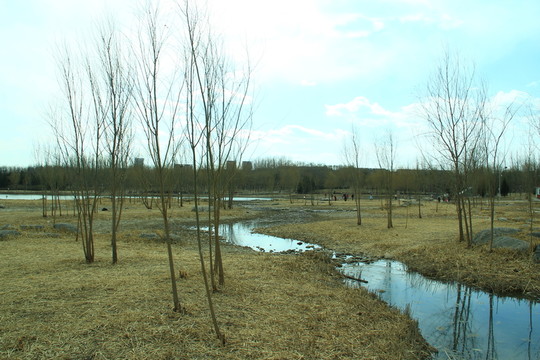 干涸的河道