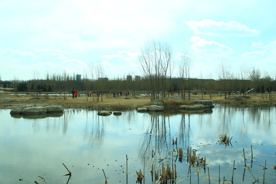 奧林匹克公園湖泊