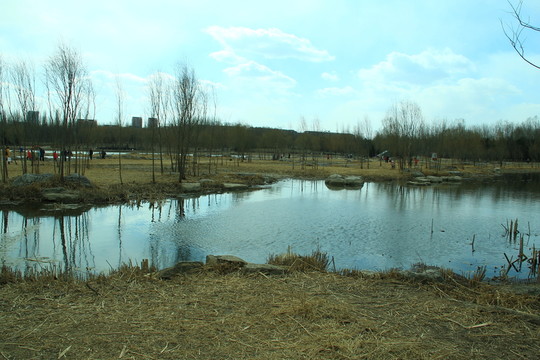 水庫干涸