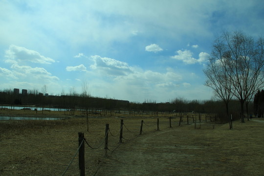 冬季奧林匹克公園森林公園