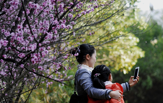 母女情深