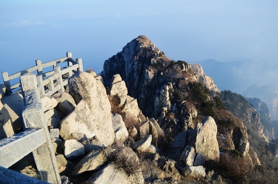 山東泰山