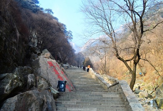 泰山景色