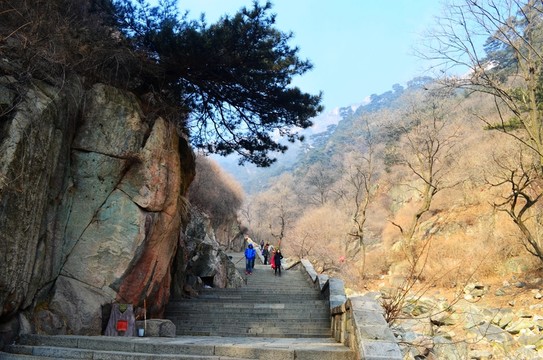 泰山景色
