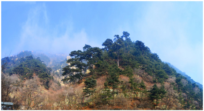 山東泰山