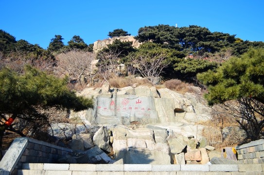 山東泰山