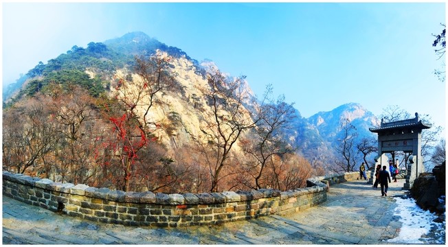 泰山對(duì)松山景色