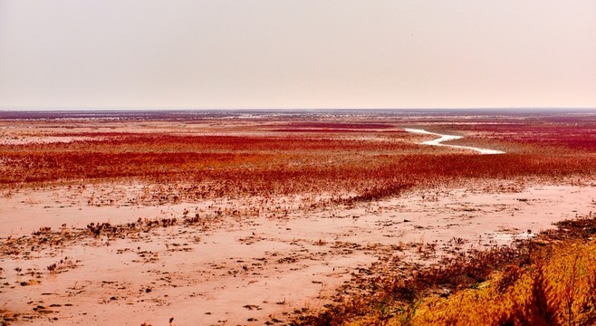 大海邊 紅地毯