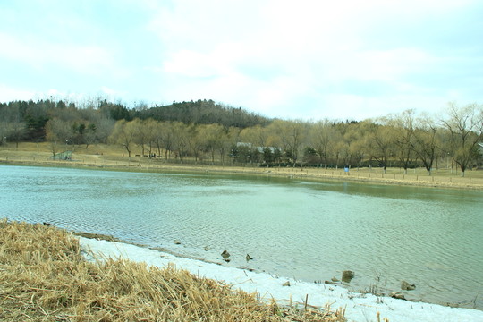 冬季水庫