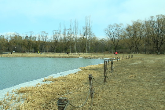 初春池塘
