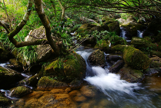 山澗溪流