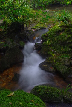 小溪流水
