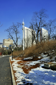 大連城市風(fēng)景