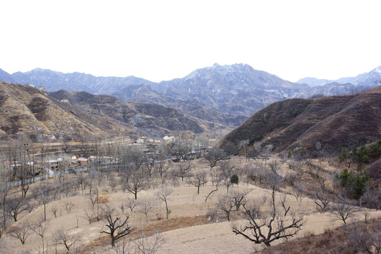 山村