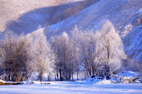林海雪原山林