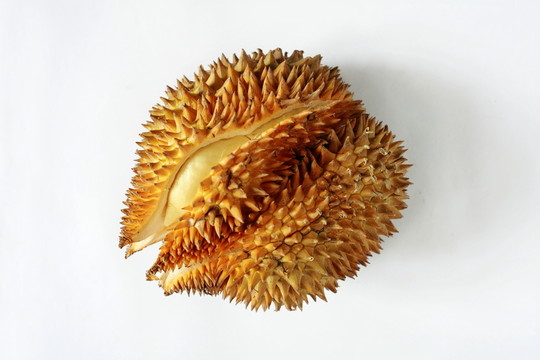 榴蓮