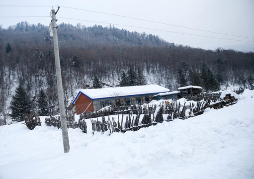 雪地