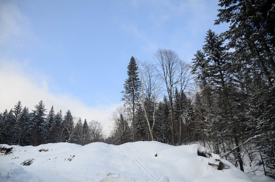 雪山里