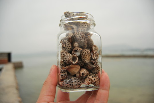 海螺