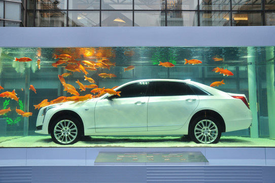 水中創(chuàng)意車展