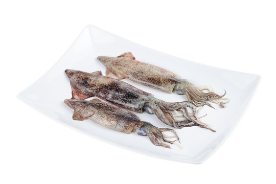 一盤魷魚（三條）