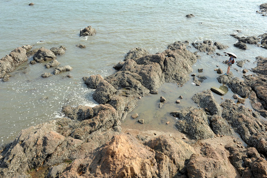 海濱風(fēng)景